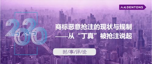 商標(biāo)惡意搶注的現(xiàn)狀與規(guī)制——從丁真被搶注說(shuō)起丨大成時(shí)事評(píng)論