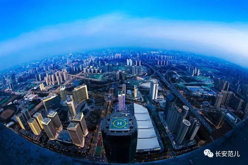 王永康 西安需要的技術(shù)開發(fā)型服務(wù)干部